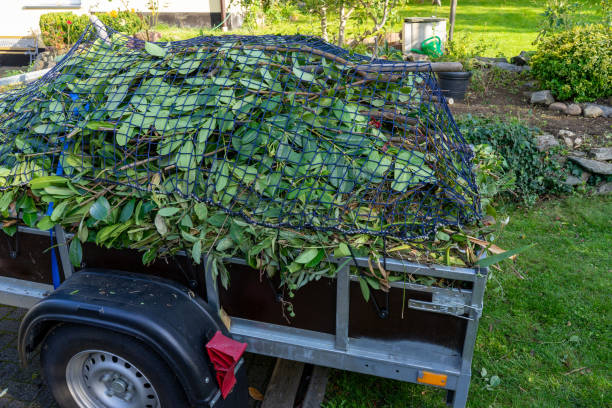 Best Same-Day Junk Removal Services  in Mount Olive, MS